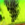 0001_Savage_Gear_3D_Hard_Pulsetail_Voorn_[Firetiger].jpg